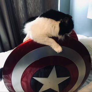 Meet your Posher, Violeta